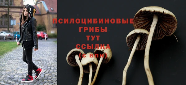 mdpv Белокуриха