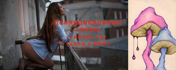 mdpv Белокуриха